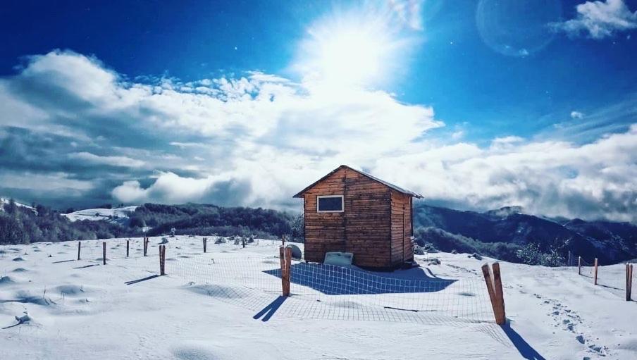 Camping Shengjergj Hotel Tirana Buitenkant foto